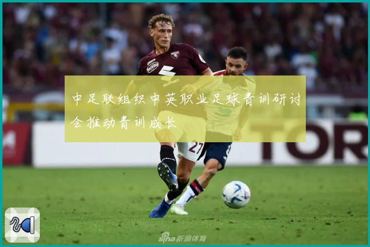 中足联组织中英职业足球青训研讨会推动青训成长