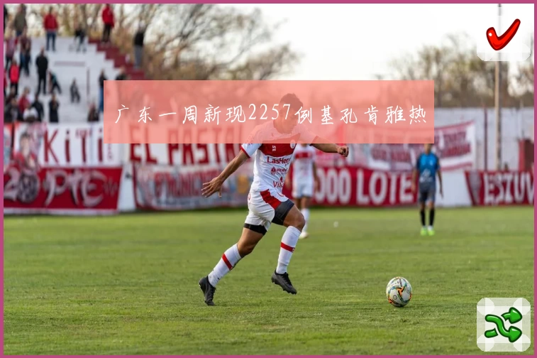 广东一周新现2257例基孔肯雅热