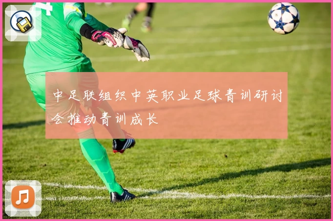 中足联组织中英职业足球青训研讨会推动青训成长