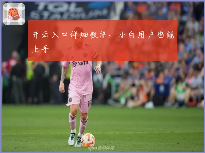 开云入口详细教学，小白用户也能上手